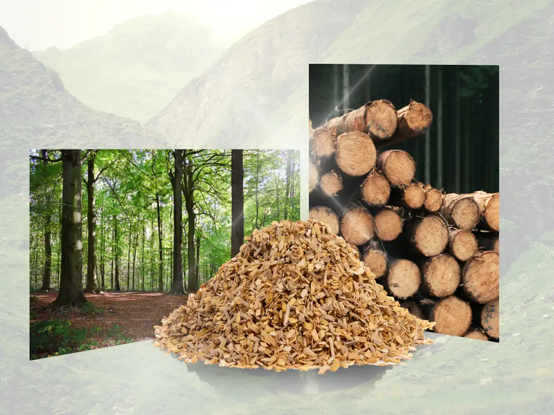 Biomass nhiên liệu sinh khối